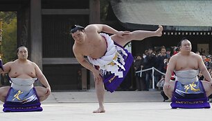 Naujųjų metų pagerbimas &bdquo;Meiji&ldquo; &scaron;ventykloje