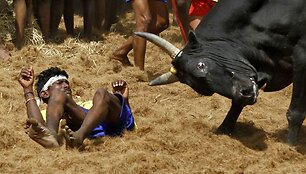Festivalio akimirka