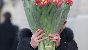 Tulpės &ndash; populiariausios gėlės kovo 8-ąją