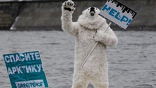 Baltąja meška persirengęs „Greenpeace“ aktyvistas Maskvos upėje