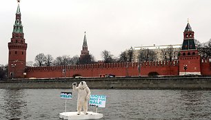 Baltąja meška persirengęs „Greenpeace“ aktyvistas Maskvos upėje