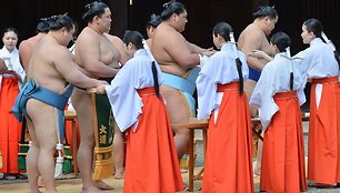 Sumo imtynininkai 