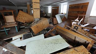 Dirbtuvės po potvynio