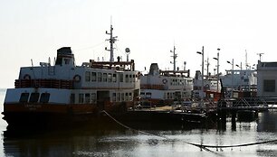 Pi&scaron;vartuoti keltai