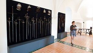Valdovų rūmai 