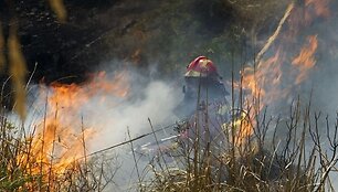 Mi&scaron;kų gaisrai Maljorkoje 