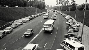 1988 m. rugpjūčio 23-oji, automobiliai &scaron;alia Vignio parko