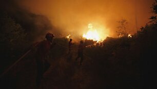 Mi&scaron;kų gaisras Portugalijoje