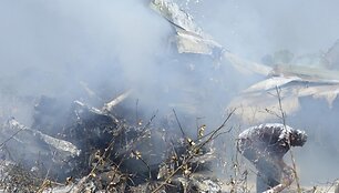Sudužęs Indijos oro pajėgų MiG-29 naikintuvas