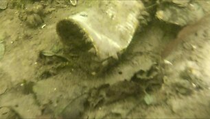&Scaron;iuk&scaron;lės Balsio ežere