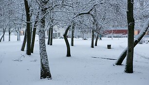 Sniegas užpylė Vilnių