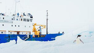 Antarktidoje įstrigęs laivas „Akademik Šokalskij“