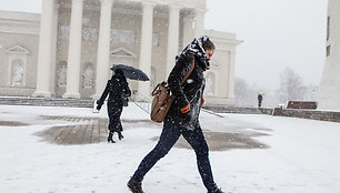 Snygis Vilniuje, 2014-ųjų pavasaris