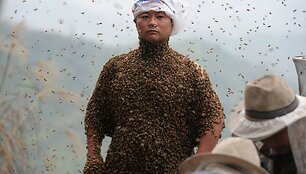 Bitės ant Kinijos bitininko She Pingo