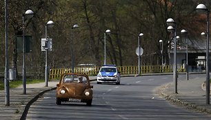 Medinis „Volkswagen Beetle“