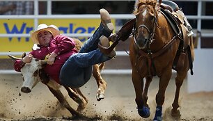Rodeo varžybos Kalagaryje