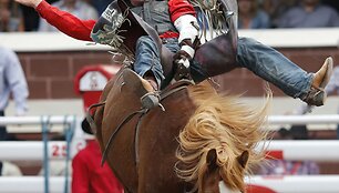 Rodeo varžybos Kalagaryje