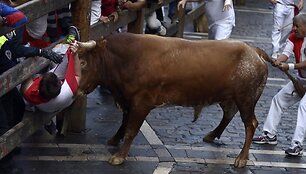 San Fermino festivalyje keli žmonės pajuto buliaus įnir&scaron;į.