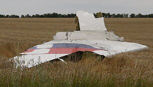 Numu&scaron;to &bdquo;Malaysia Airlines&ldquo; lėktuvo nuolaužos Donecke, Ukrainoje.