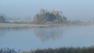 Šalna Kajotų kaime, Ignalinos rajonas 