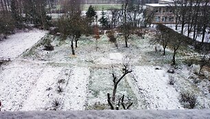 Sniegas Marijampolės rajone