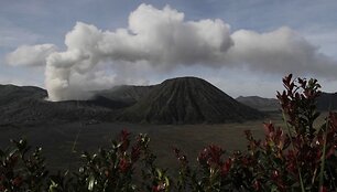 Bromo ugnikalnis