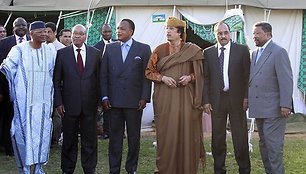 Malio prezidentas Amadou Toumani Toure, Pietų Afrikos Respublikos prezidentas Jacobas Zuma, Kongo Respublikos prezidentas Denis Sassou N'Guesso, Libijos lyderis Muamaras Kadhafi,  Mauritanijos prezidentas Mohamedas Ouldas Abdel Azizas ir  Afrikos Sąjungos generalinis sekretorius Jeanas Pingas