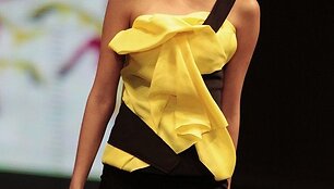 Modelis