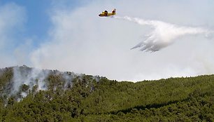 Gesinamas gaisras Ibisos saloje