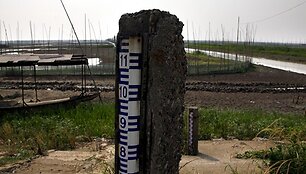 Vandens lygio matuoklis