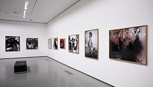 Jimo Dine'o paroda
