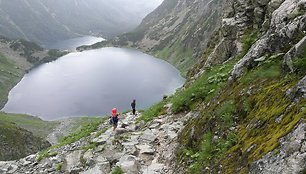 Kalnų ožys nebijo nei aukščio, nei turistų