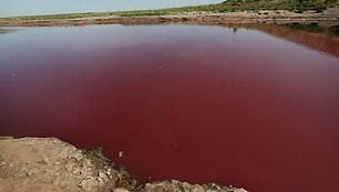 I&scaron; ežero liko tik nedidelė raudono, dumblino vandens kūdra