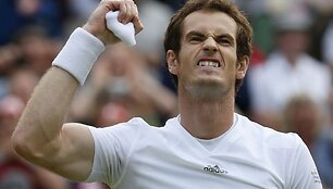 Andy Murray'us