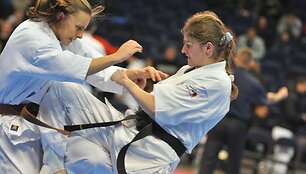 Čempionate dalyvavo per 200 sportininkų i&scaron; 25 Senojo žemyno &scaron;alių. 
