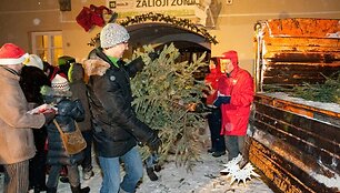 Atsisveikinimas su Kalėdų eglutėmis