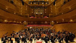 Baltijos jaunimo filharmonijos orkestras