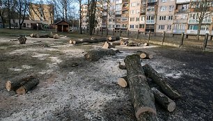 Žmonės skundžiasi, kad naujasis Zumpės takas apdergtas šunų