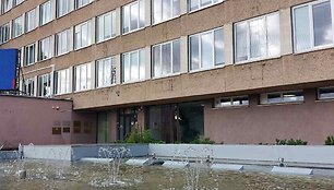 Fontanas Roki&scaron;kyje