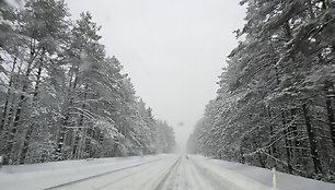 Kelias Druskininkai-Vilnius prie Valkininkų