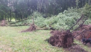 Kauno Neries krantinė po švalo