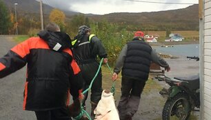 Lietuviai sugavo įspūdingą otą
