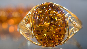 Parodos &bdquo;Amber trip&ldquo; akimirka
