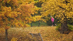 Moteris bėgioja Berlyno Tiergarteno parke 