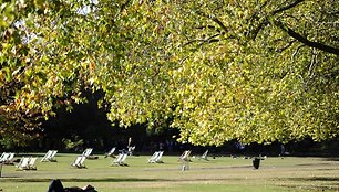 Žmogus guli centriniame Londono parke