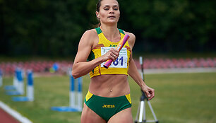 Agnė &Scaron;erk&scaron;nienė