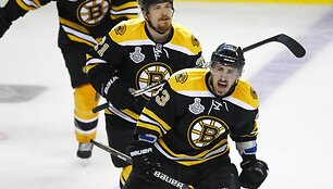 Bostono ledo ritulininkai