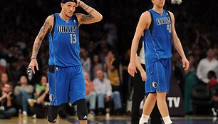 Delonte Westas ir Dirkas Nowitzkis