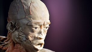 &bdquo;The Human Body&ldquo; eksponatas