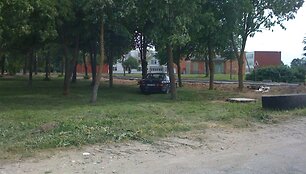 &bdquo;Mercedes&ldquo; ant žolės giraitėje